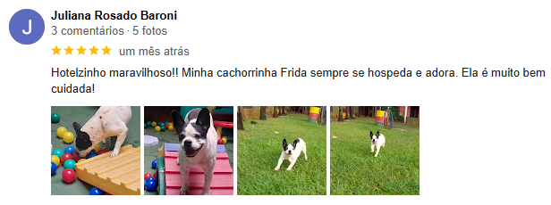 Captura de tela 2024-12-19 234056