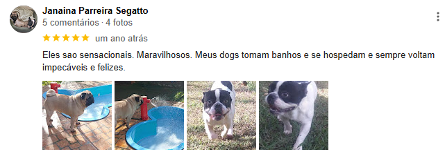 Captura de tela 2024-12-19 234145