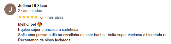 Captura de tela 2024-12-19 234226
