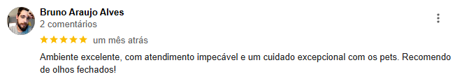 Captura de tela 2024-12-19 234244