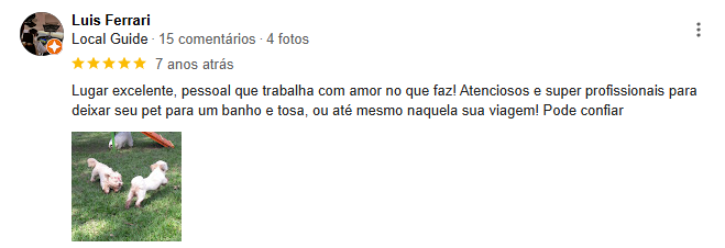 Captura de tela 2024-12-19 234320